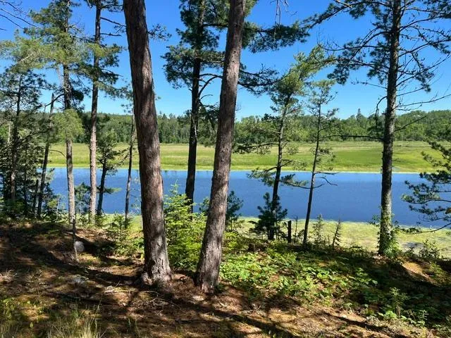 7168 Gold Mine Road Orr, MN 55771