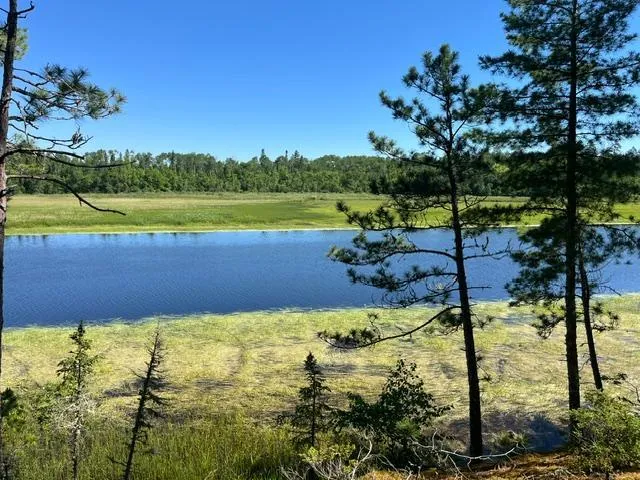 7168 Gold Mine Road Orr, MN 55771