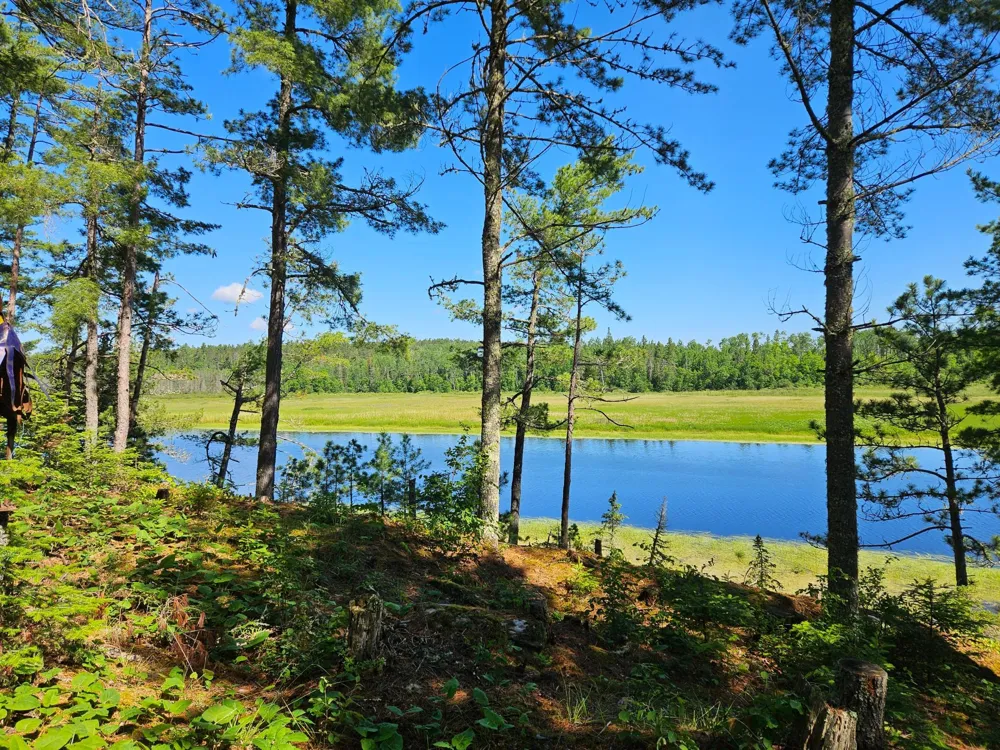 7168 Gold Mine Road Orr, MN 55771