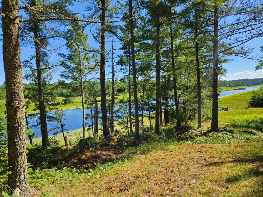 7168 Gold Mine Road Orr, MN 55771
