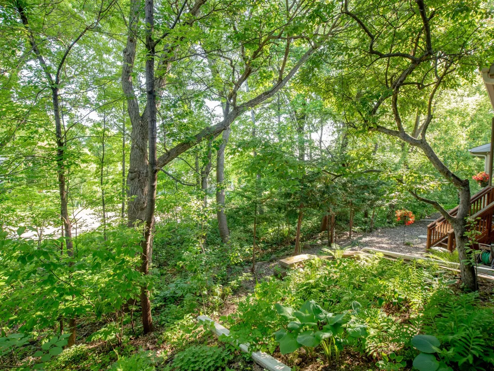 493 Sterling Street S Maplewood, MN 55119