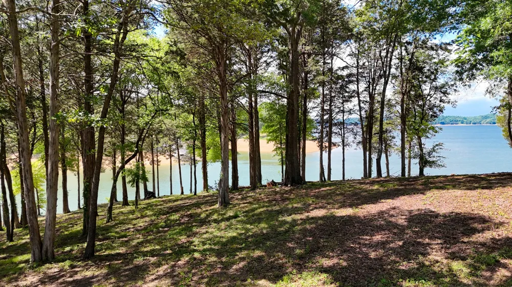 122 Ridge Point Trl Dandridge, TN 37725