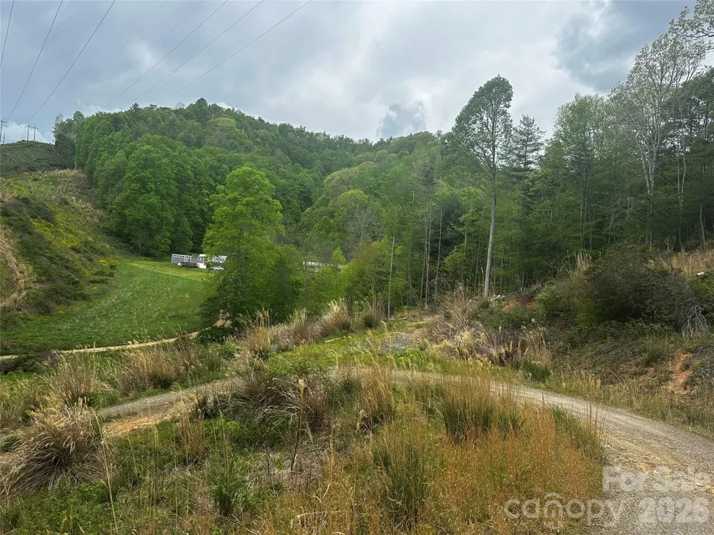 00 McPeters Lane Burnsville, NC 28714