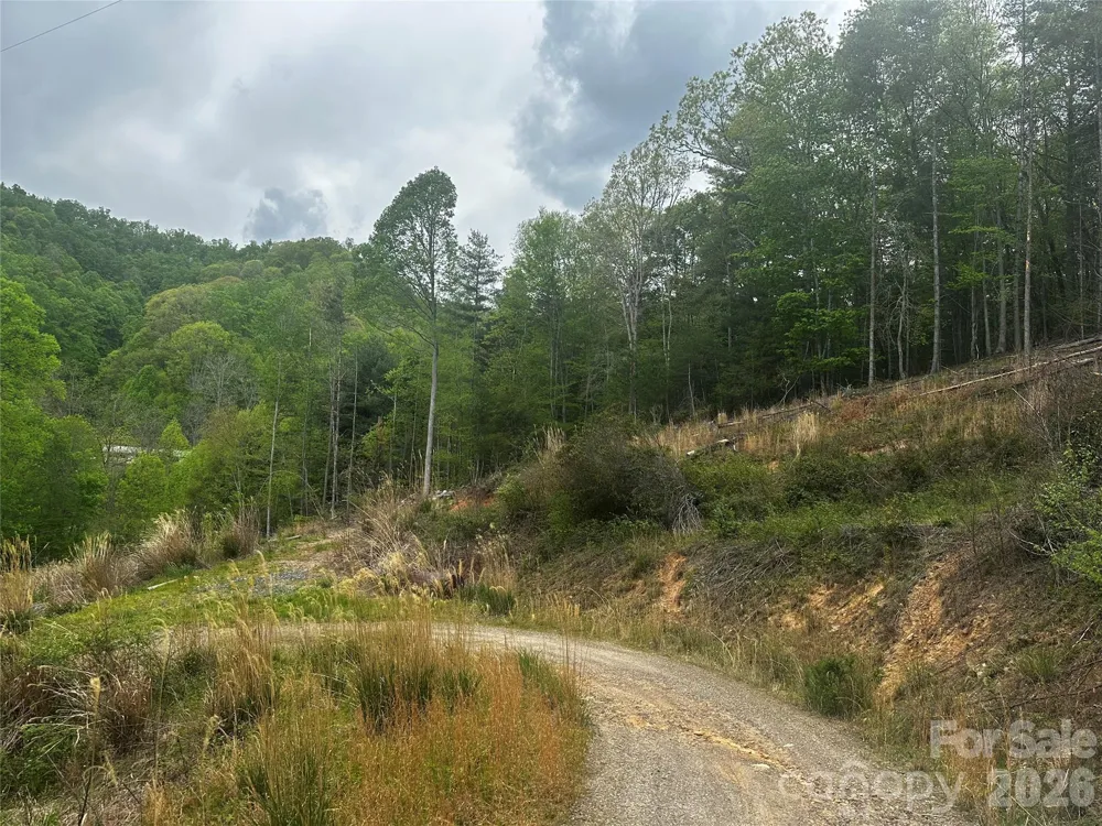 00 McPeters Lane Burnsville, NC 28714