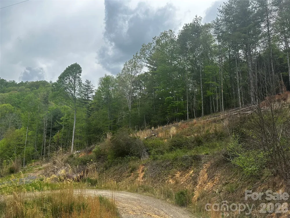 00 McPeters Lane Burnsville, NC 28714