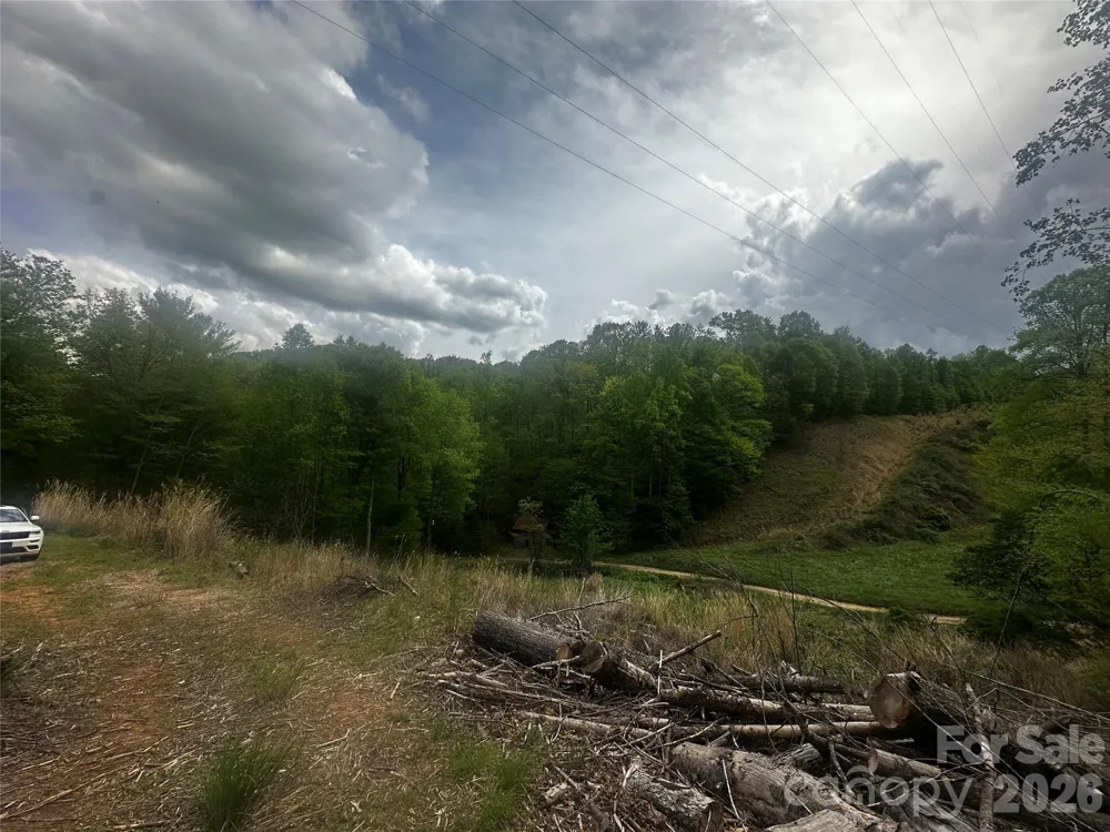 00 McPeters Lane Burnsville, NC 28714