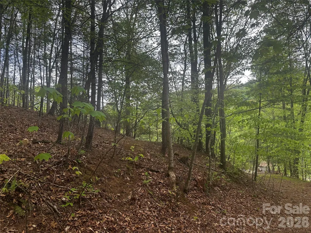 00 McPeters Lane Burnsville, NC 28714