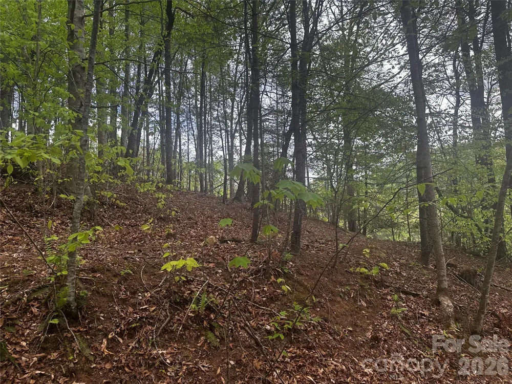00 McPeters Lane Burnsville, NC 28714