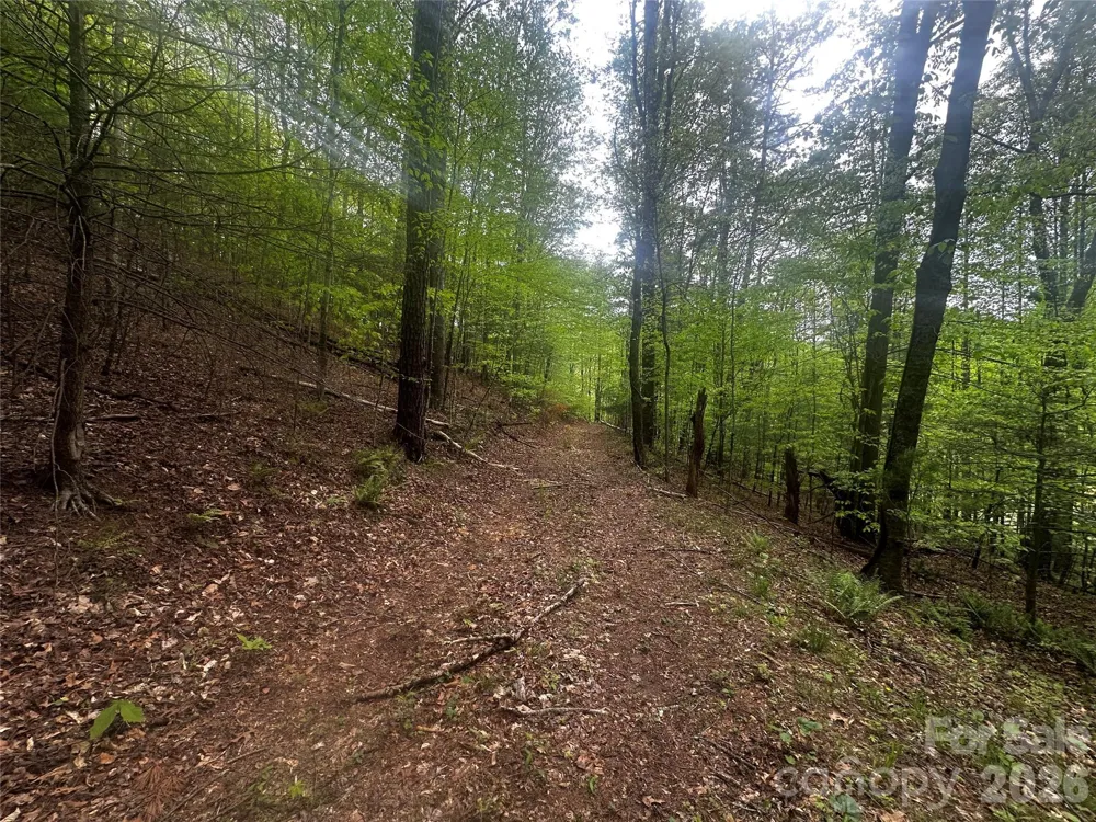 00 McPeters Lane Burnsville, NC 28714