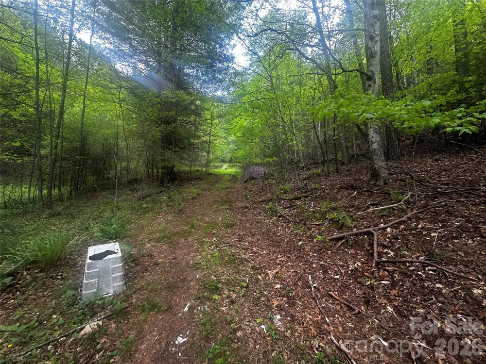 00 McPeters Lane Burnsville, NC 28714
