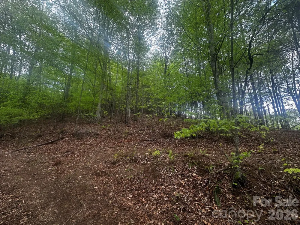 00 McPeters Lane Burnsville, NC 28714