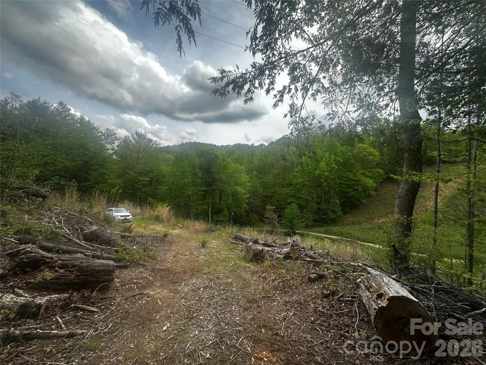 00 McPeters Lane Burnsville, NC 28714