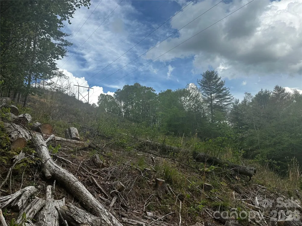 00 McPeters Lane Burnsville, NC 28714
