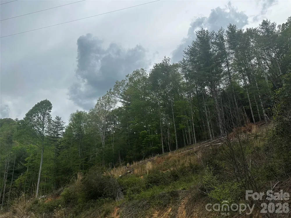 00 McPeters Lane Burnsville, NC 28714