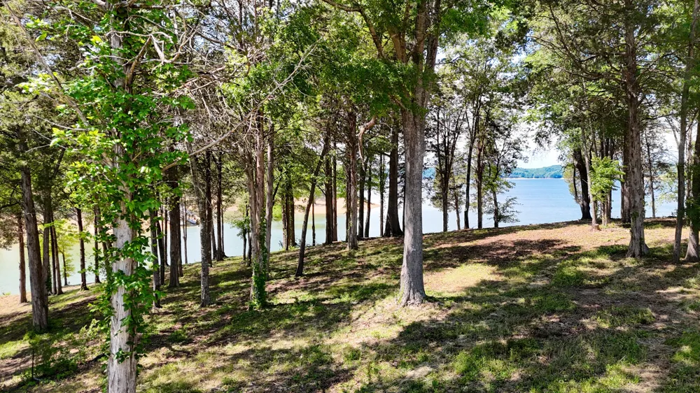 123 Ridge Point Trl Dandridge, TN 37725