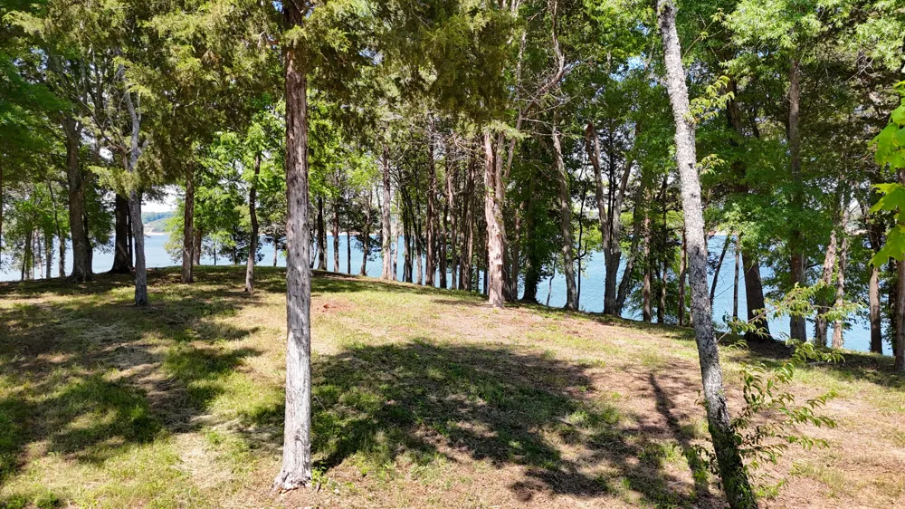 123 Ridge Point Trl Dandridge, TN 37725