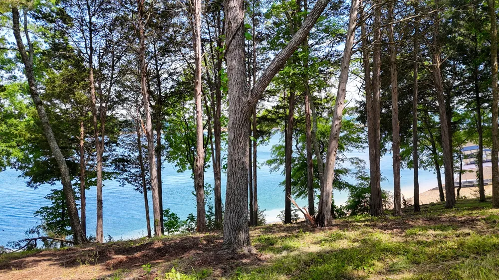 123 Ridge Point Trl Dandridge, TN 37725
