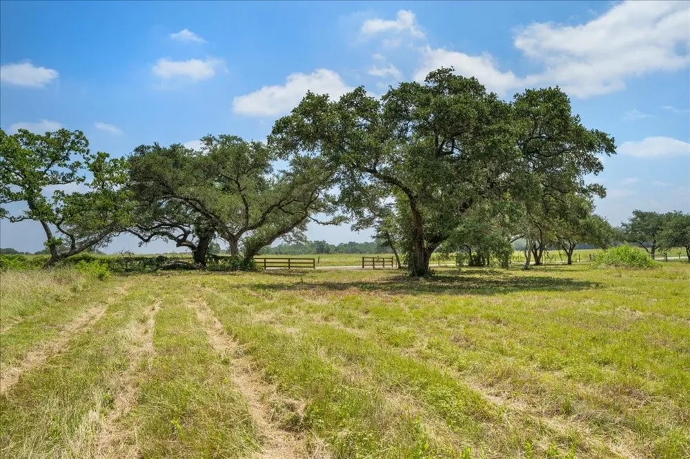 6900 Waldeck Cemetery Road Round Top, TX 78954
