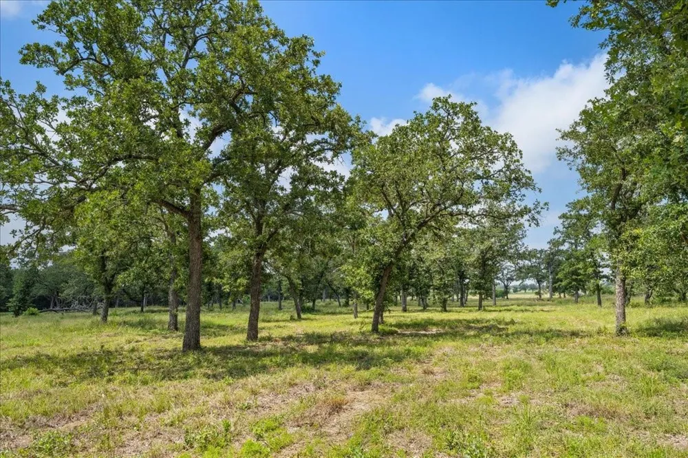 6900 Waldeck Cemetery Road Round Top, TX 78954