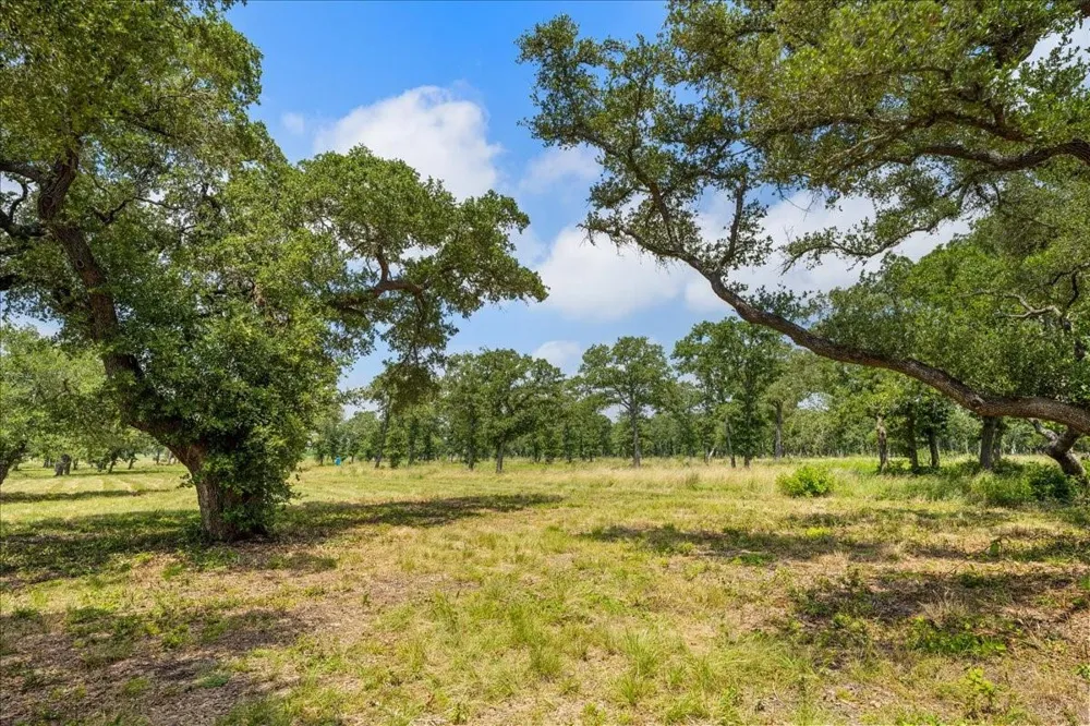 6900 Waldeck Cemetery Road Round Top, TX 78954