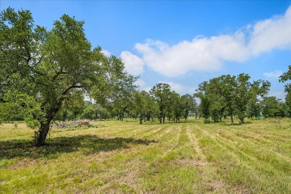 6900 Waldeck Cemetery Road Round Top, TX 78954