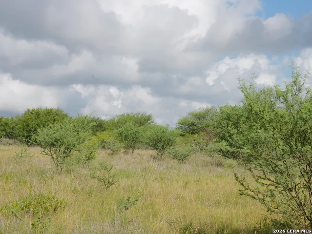 TBD LOT 2 CR 207 Hobson, TX 78117