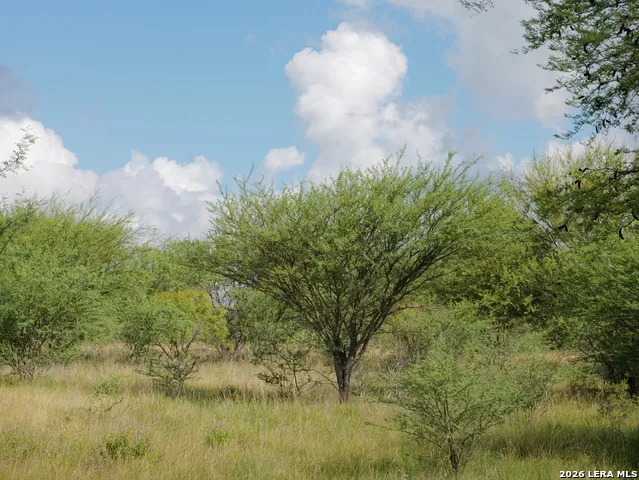 TBD LOT 2 CR 207 Hobson, TX 78117