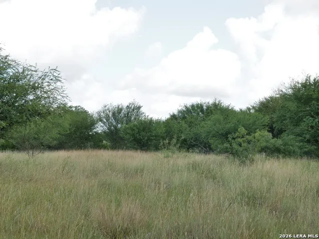 TBD LOT 2 CR 207 Hobson, TX 78117