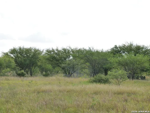 TBD LOT 2 CR 207 Hobson, TX 78117