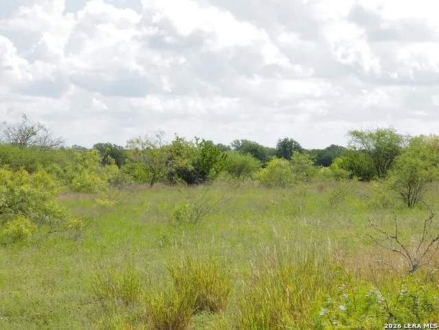 TBD LOT 2 CR 207 Hobson, TX 78117