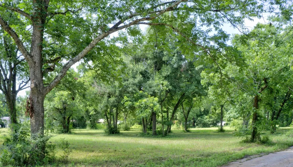 22 Broxson Court / Twin Drive Drive Crockett, TX 75835