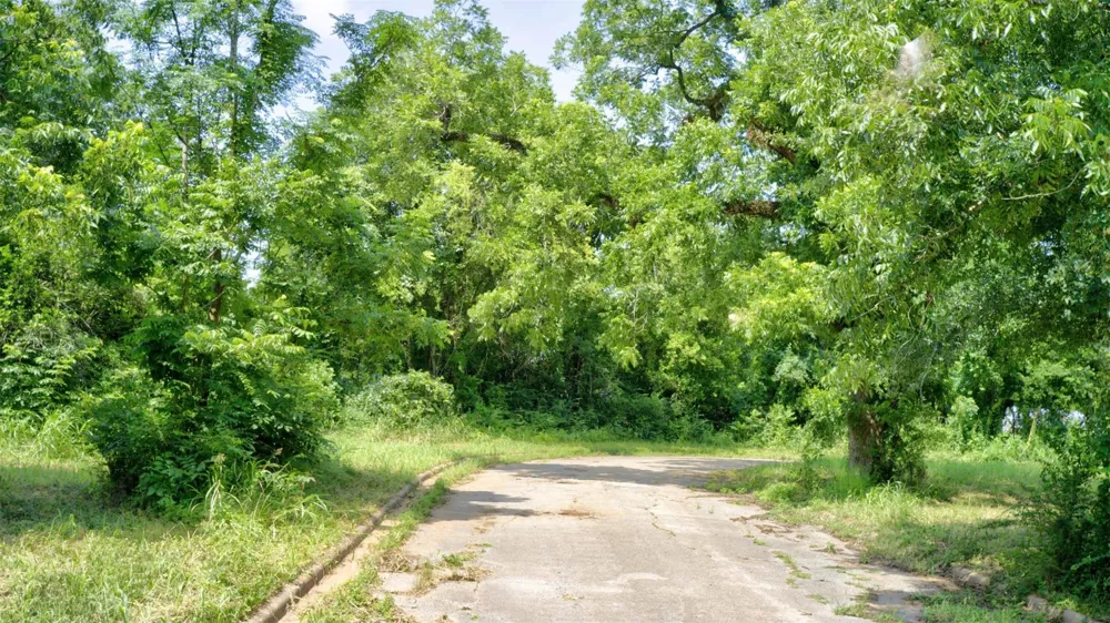 22 Broxson Court / Twin Drive Drive Crockett, TX 75835