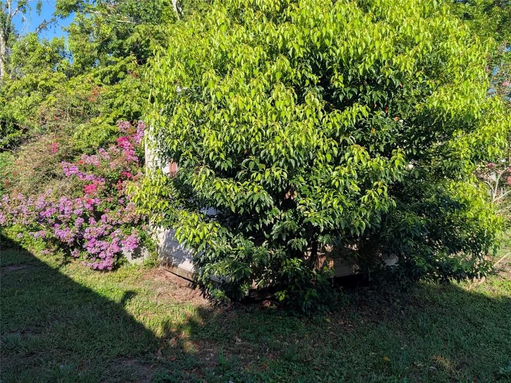 34 SEVILLA AVENUE Arcadia, FL 34266