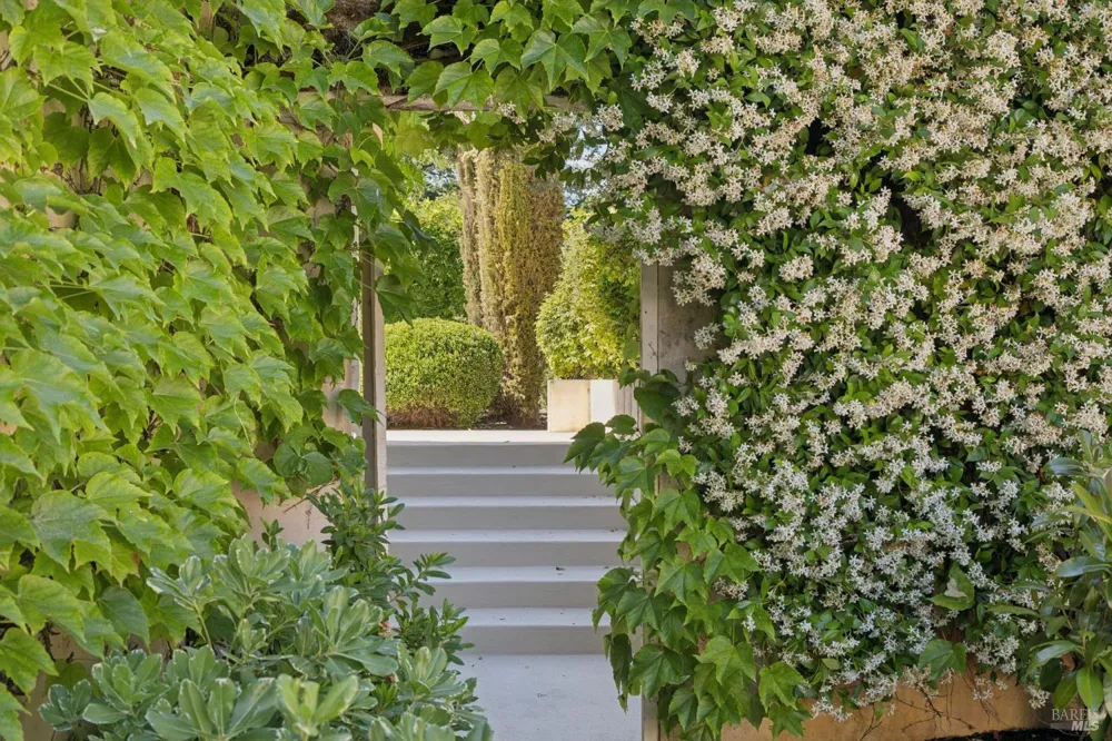 1110 Bale Lane Calistoga, CA 94515