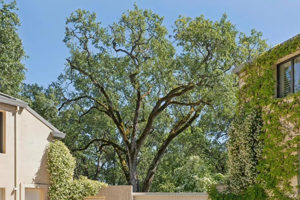 1110 Bale Lane Calistoga, CA 94515