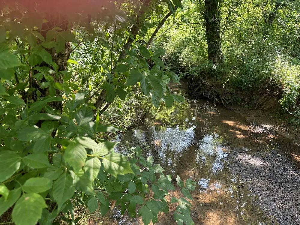 Hensley Wilson Lane Evensville, TN 37332