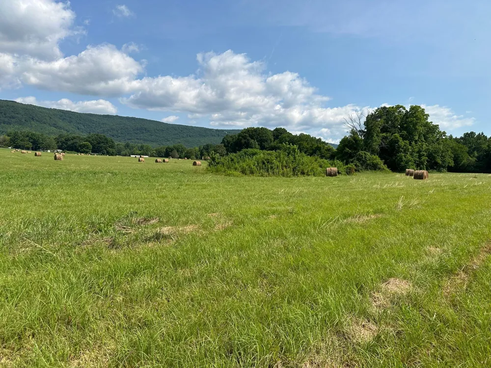 Hensley Wilson Lane Evensville, TN 37332