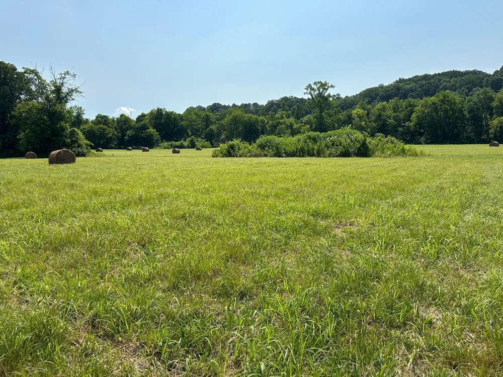 Hensley Wilson Lane Evensville, TN 37332