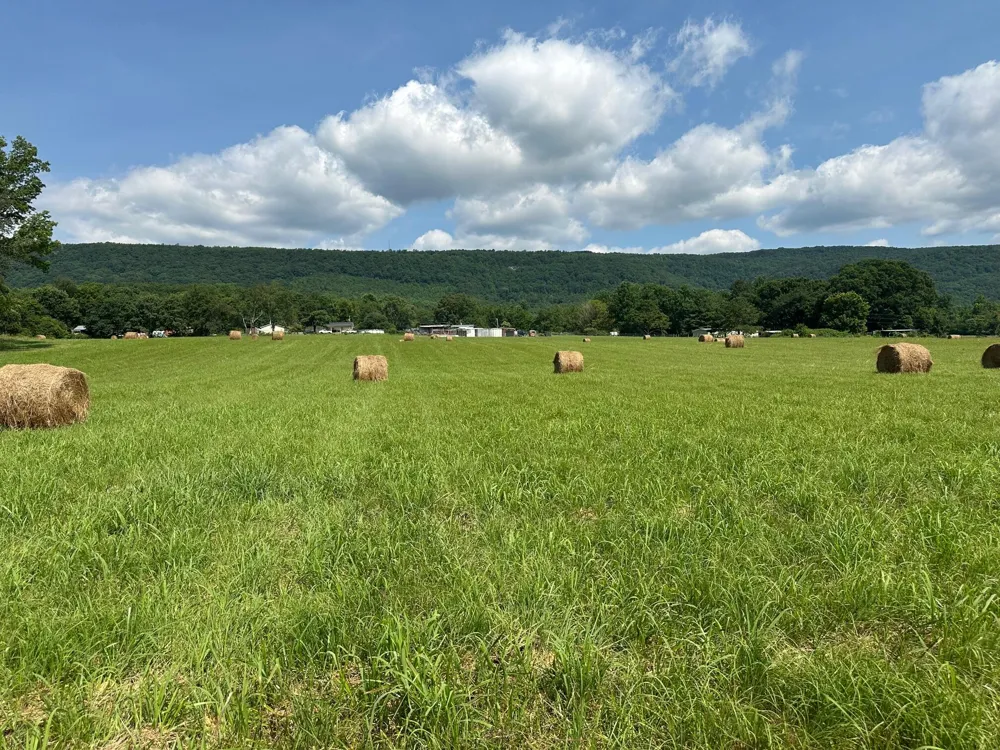 Hensley Wilson Lane Evensville, TN 37332