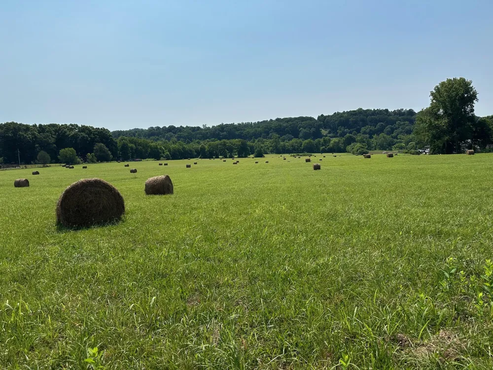Hensley Wilson Lane Evensville, TN 37332