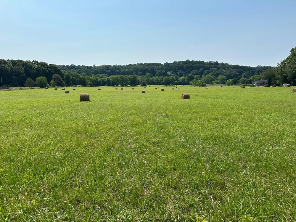 Hensley Wilson Lane Evensville, TN 37332