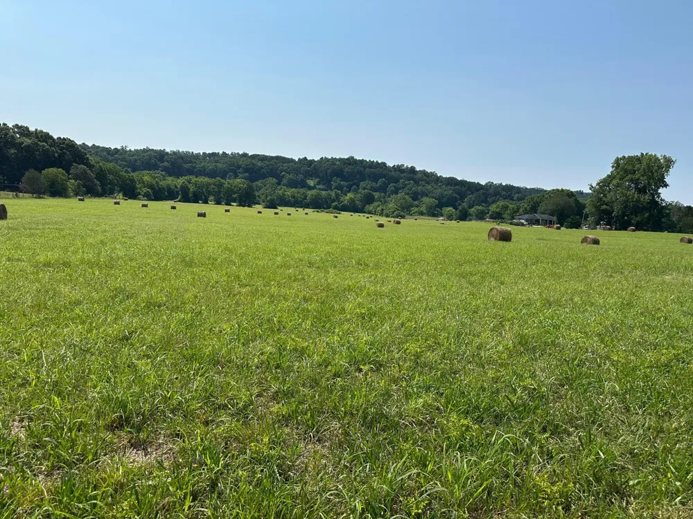 Hensley Wilson Lane Evensville, TN 37332