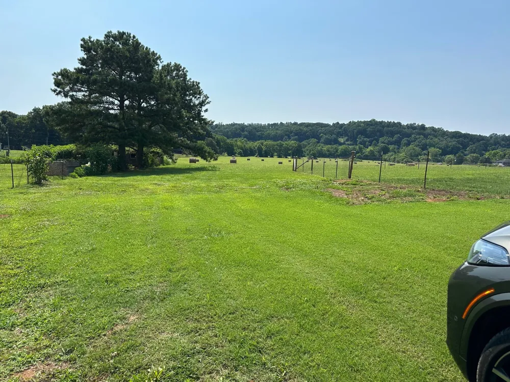 Hensley Wilson Lane Evensville, TN 37332