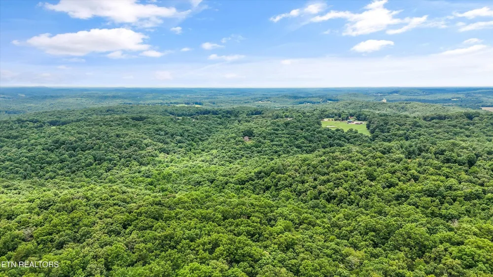 146 Harkle Rd Lancing, TN 37770