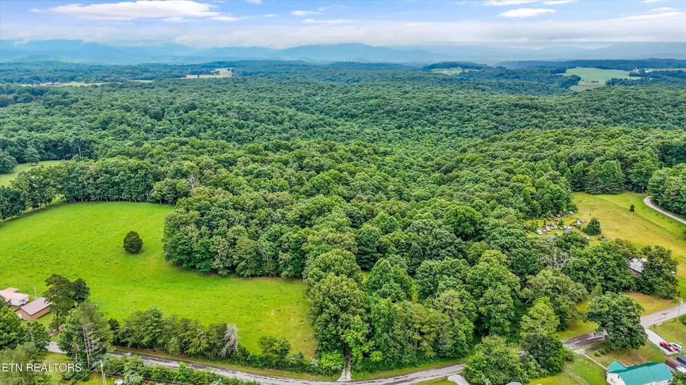 146 Harkle Rd Lancing, TN 37770