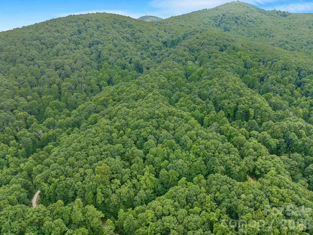 8 Carls Cove Road Black Mountain, NC 28711