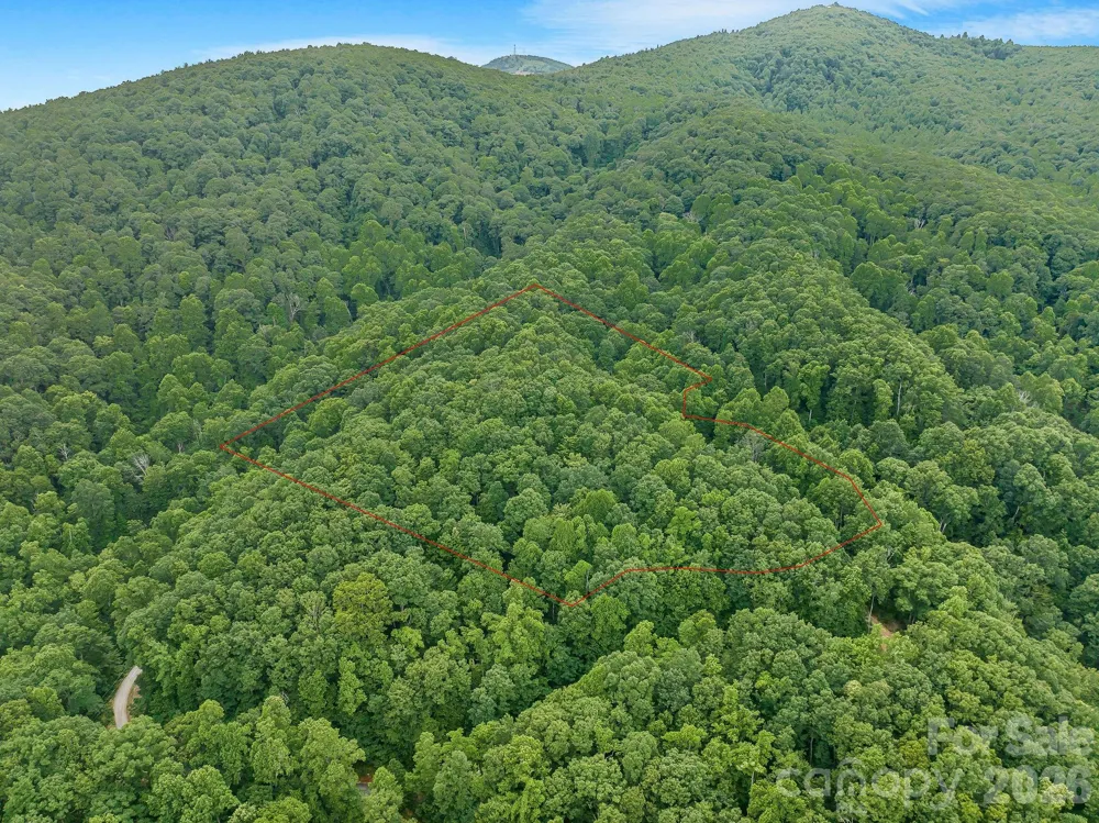 8 Carls Cove Road Black Mountain, NC 28711