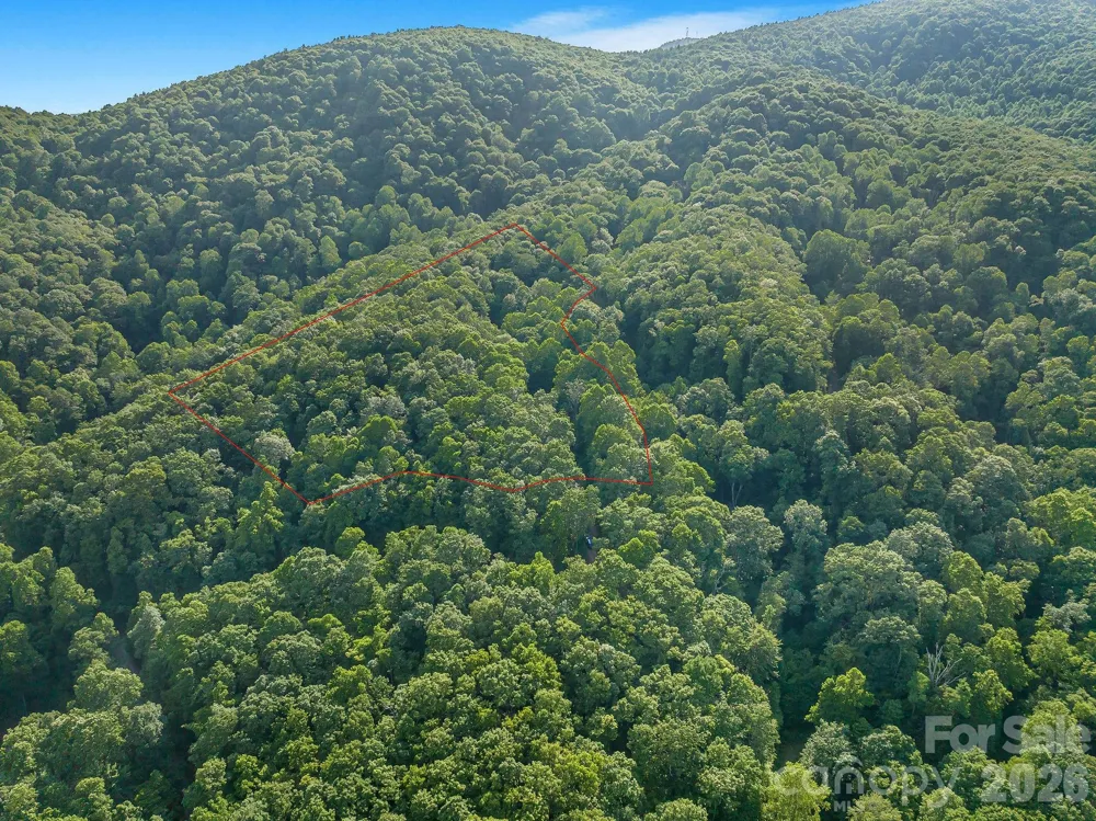 8 Carls Cove Road Black Mountain, NC 28711