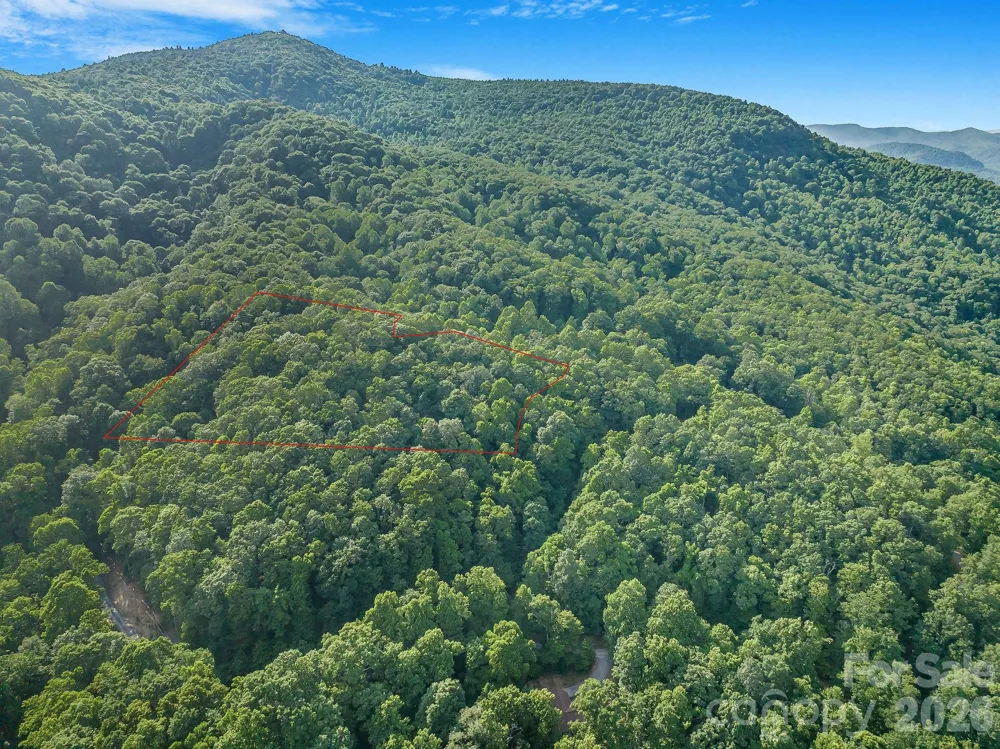 8 Carls Cove Road Black Mountain, NC 28711