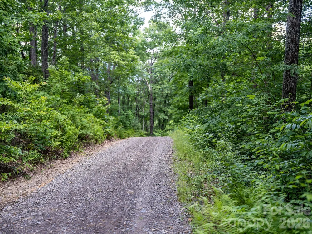 8 Carls Cove Road Black Mountain, NC 28711
